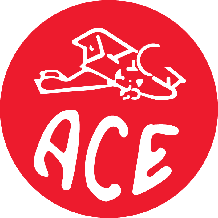 Ace Hardware 1929 heritage mark