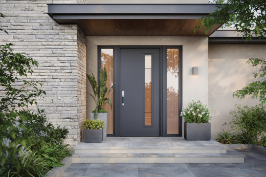 Pulse entry door in Onyx on a modern home